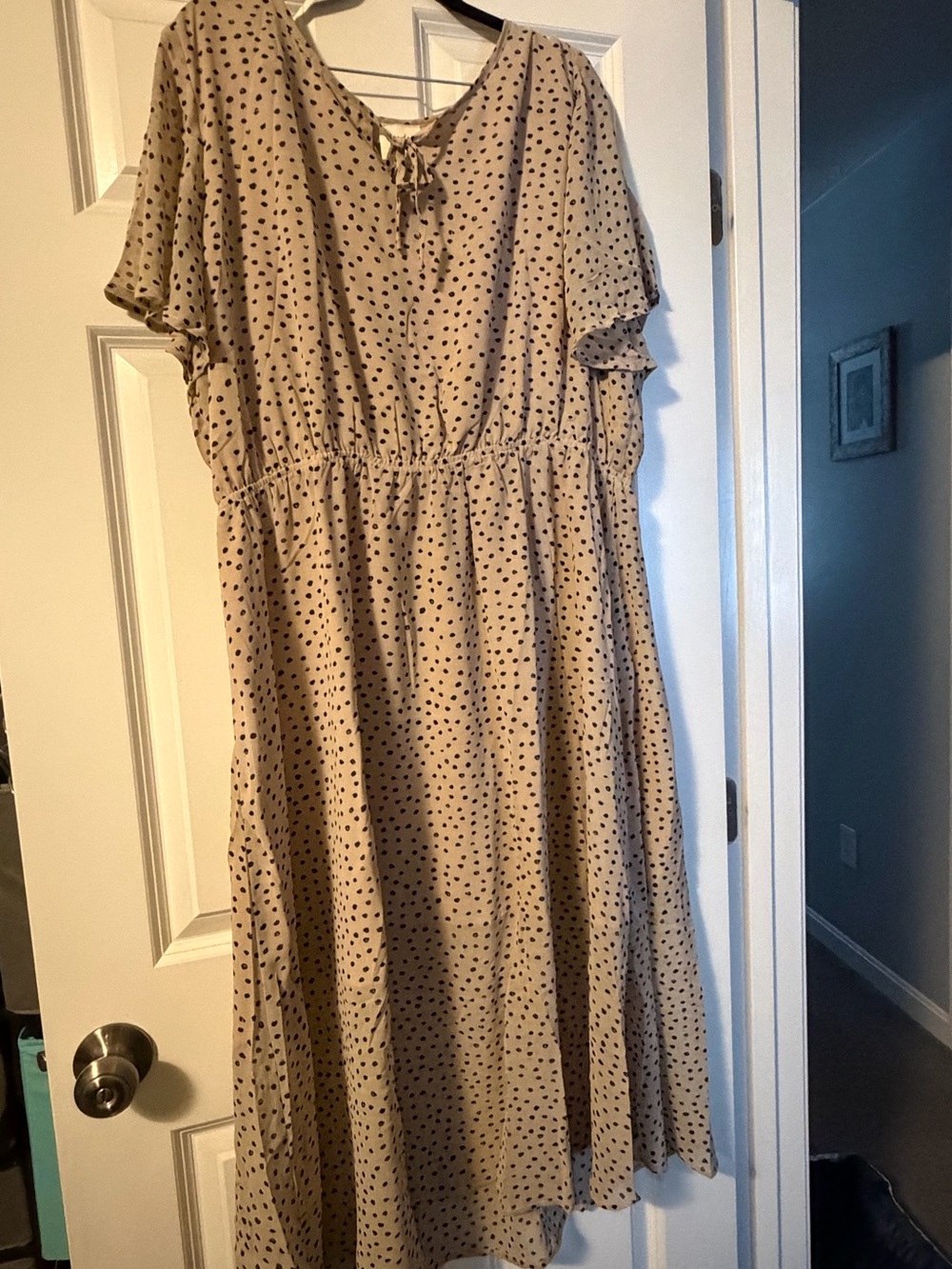 BNWT Hayden Los Angeles 2x Beige Dress with Black Polka Dots stretch waist & tie